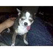 Forrest Padillas foto