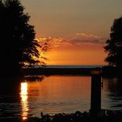 Rose Griffith's photo