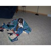 Bonnie Coble's photo