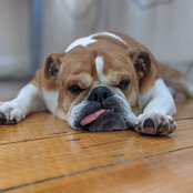 Mathieu Galy's photo