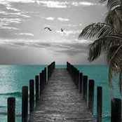 Foto von Lisa Gray Van Ostrand