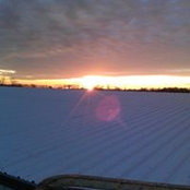 Foto de Shane Gaither