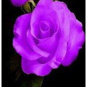Reta Sanden's photo