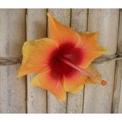 Claire Kidu's photo