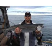 Brian Crowe's photo