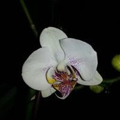 Connie Dailey's photo