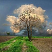 Emanuela Sgarzi's photo
