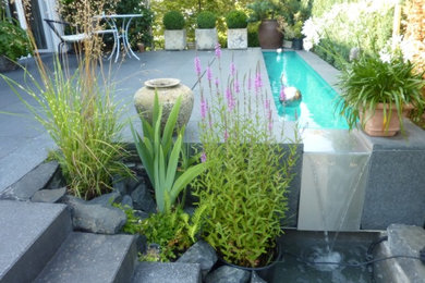 Garten in Köln