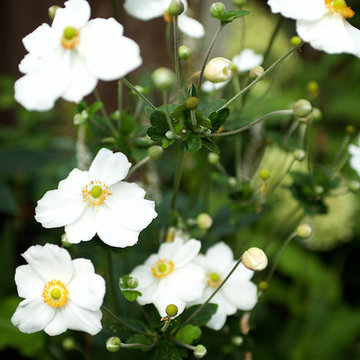 Private House, Putney