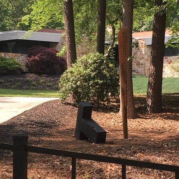Modern Organic in Buckhead, Georiga