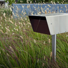 grasses