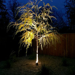 Lighting Projects - Products