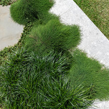 Greenery