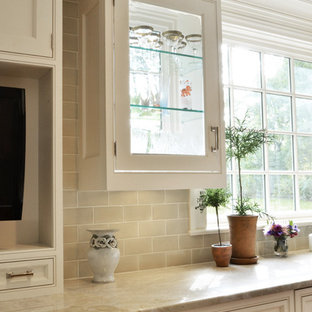 Inspiration for a large timeless home design remodel in New York