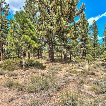 Lot for Sale - 590 Stewart McKay, Lahontan Subdivision