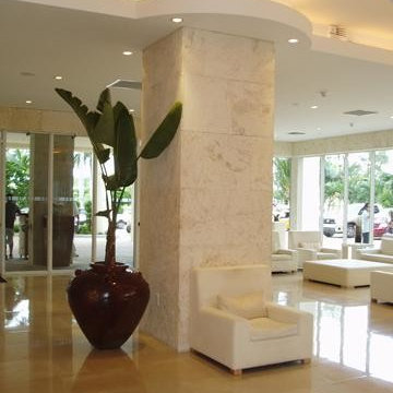 Calypso Coral (dominican coral stone) By Coral Classics