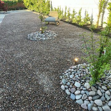 Full EE Backyard