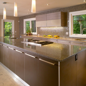 Modern Kitchen Renovation
