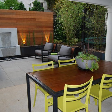 Modern Yard
