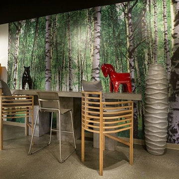 Wall murals