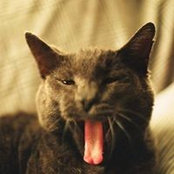 Roy Williams's photo