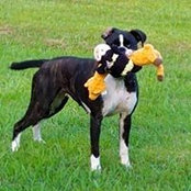 Tammy Simon DeRise's photo