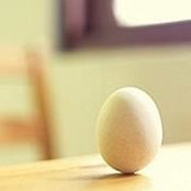胡叉s foto