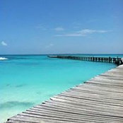 Foto von Leslie Byrum