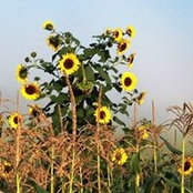Foto von Kathy Kirsch