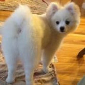 Melissa Grooming's photo
