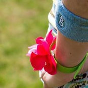 Mara Wellner's photo