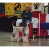 Pat Stroman's photo