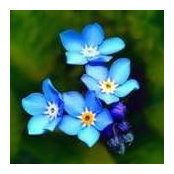 Billie Martoccia's photo