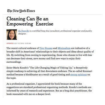 New York Times opinion piece