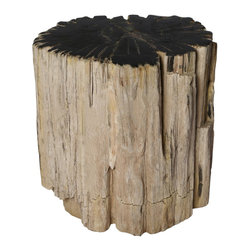 Petrified Wood Side Tables - Stool - Side Tables And End Tables