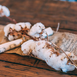 Rustic Elegance - Decorative Accents