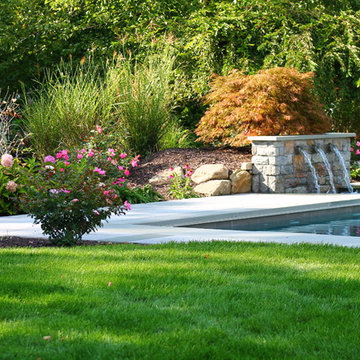 Dorchester Dr