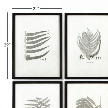 6-Piece Framed Gray-Tone Fern Print Set