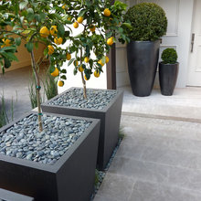 Planter boxes