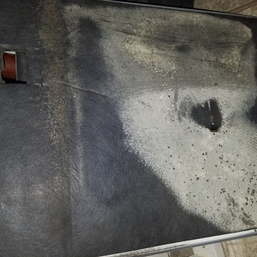 mold remediation