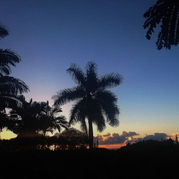 Big Island Botanical Retreat