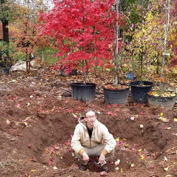Mission Impossible MakeOver! Specimen Trees & Patio Down Extreme Slope