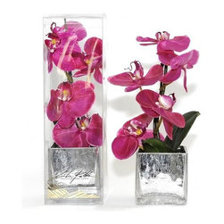 Fuchsia Phalaenopsis Silver Crackle Square - Products