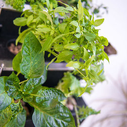 Green Thumb Technology Veggie-Wall - Outdoor Pots And Planters