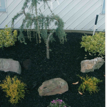 Front Yard landscaping with Belgium Block tree rings