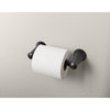 Kohler K-21954 Tempered Wall Mounted Pivoting Toilet Paper Holder - Vibrant