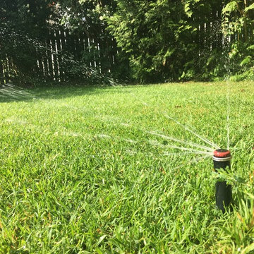 Hausgarten