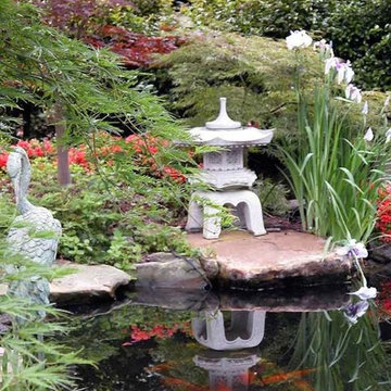 Ponds and Pools