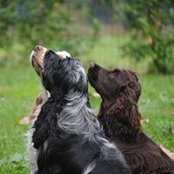 Foto de Daniela Chinese
