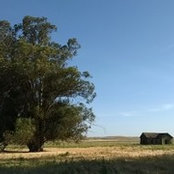 Foto von Jodi Kirk